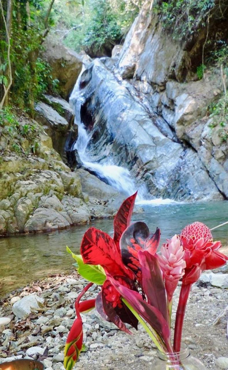 Glamping Finca Margaritas Pluma Hidalgo Kültér fotó