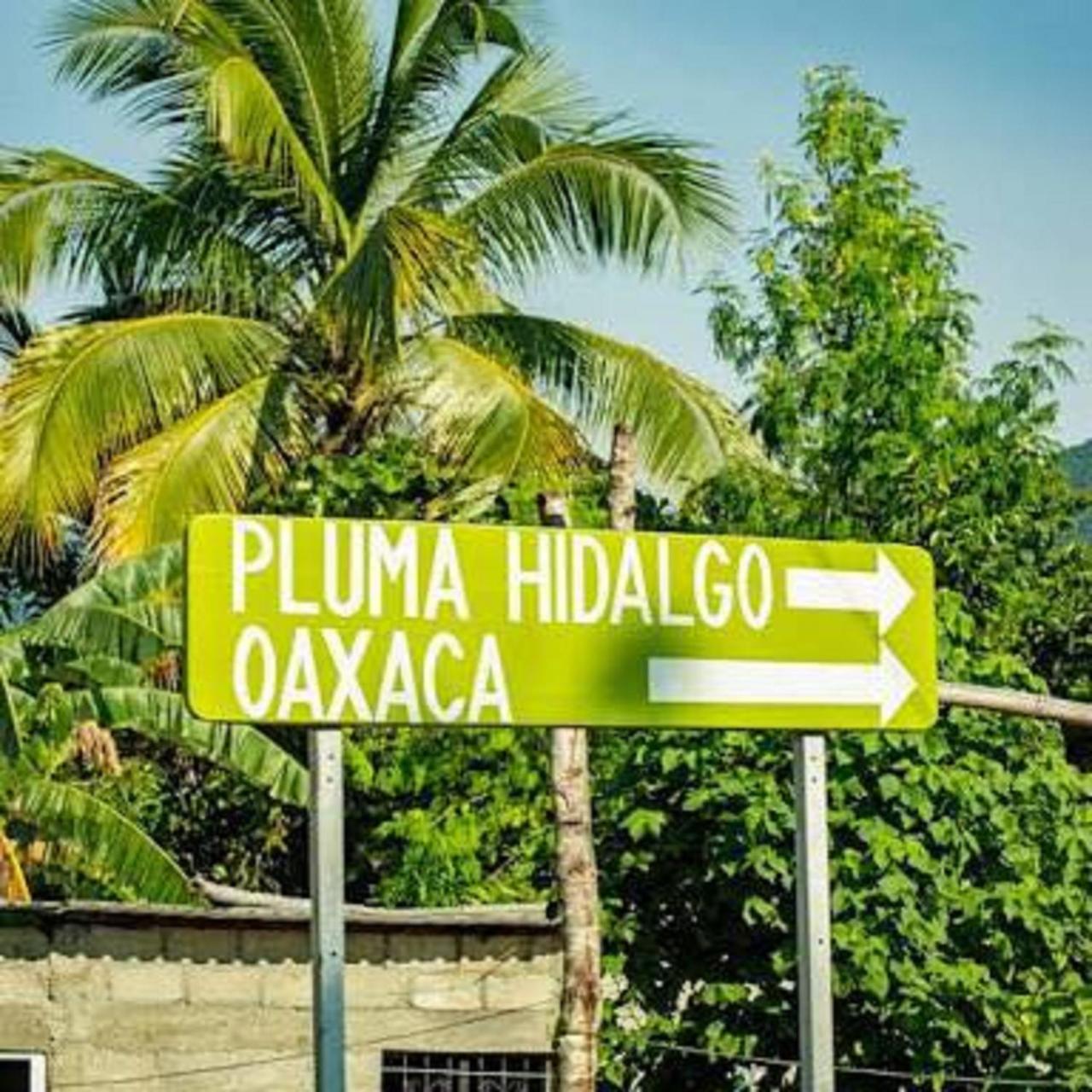 Glamping Finca Margaritas Pluma Hidalgo Kültér fotó
